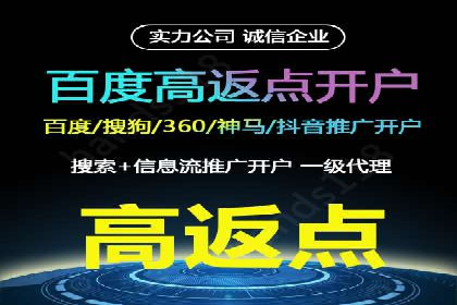 百度品牌专区推广的成效与案例